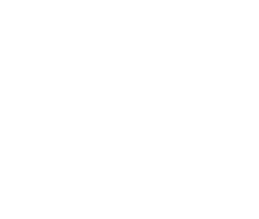 Expo Car Show